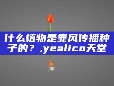 什么植物是靠风传播种子的？, yealico天堂