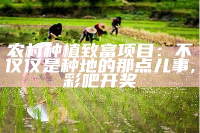 种植业什么最赚钱农村？, 澳门90349