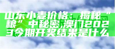 山东小麦价格：揭秘“粮”中秘密, 澳门2023今期开奖结果是什么