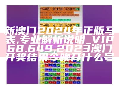 新澳门2024年正版马表,专业解析说明_VIP68.649, 616102宝典