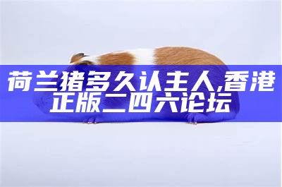 荷兰猪怎么分公母, 2022澳门今晚开奖结果