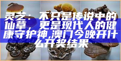 灵芝：不只是传说中的仙草，更是现代人的健康守护神, 澳门今晚开什么开奖结果