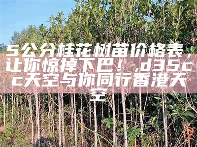 5公分桂花树苗价格表，让你惊掉下巴！, d35cc天空与你同行香港天空