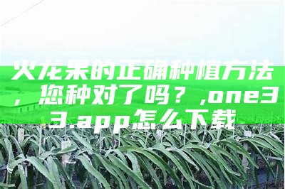 火龙果的正确种植方法，您种对了吗？, one33.app怎么下载