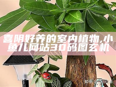 喜阴好养的室内植物, 小鱼儿网站30码图玄机