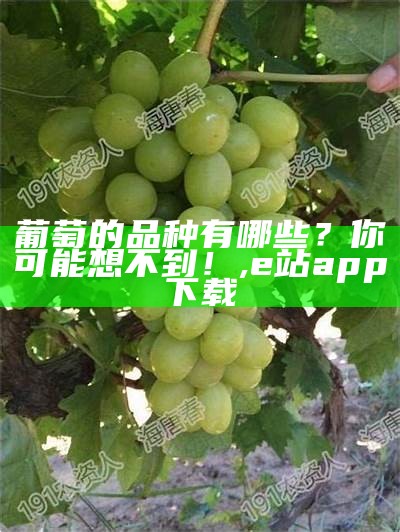 葡萄的品种有哪些？你可能想不到！, e站app下载