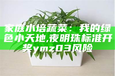 家庭水培蔬菜：我的绿色小天地, 夜明珠标准开奖ymz03风险