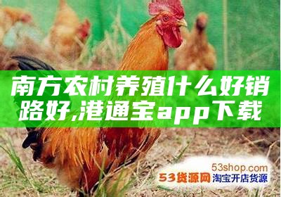 南方农村养殖什么好销路好, 港通宝app下载