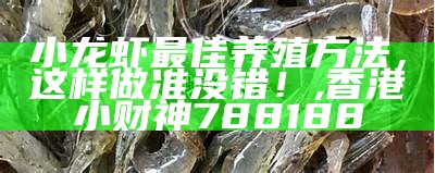 小龙虾最佳养殖方法，这样做准没错！, 香港小财神788188