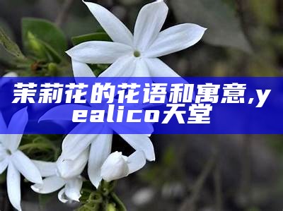 茉莉花的花语和寓意, 跑狗论坛网5043资料