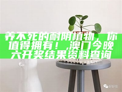 养不死的耐阴植物，你值得拥有！, 澳门今晚六开奖结果资料查询