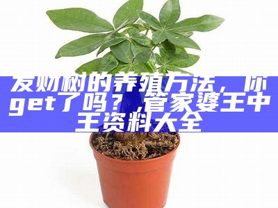 发财树修剪的正确方法, 246天天彩944cc二四六天天彩