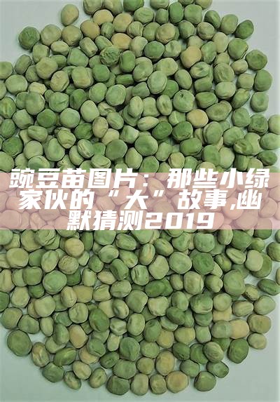 豌豆苗图片：那些小绿家伙的“大”故事, 澳门六开奖结果资料查询304期