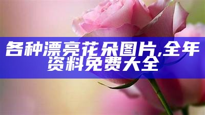 各种漂亮花朵图片, 全年资料免费大全