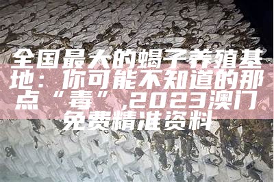 全国最大的蝎子养殖基地：你可能不知道的那点“毒”, 2023澳门免费精准资料