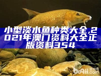 小型淡水鱼种类大全, 2021年澳门资料大全正版资料354