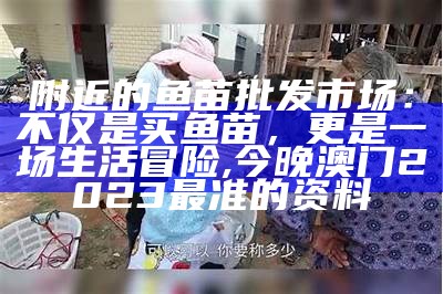 附近的鱼苗批发市场：不仅是买鱼苗，更是一场生活冒险, 今晚澳门2023最准的资料