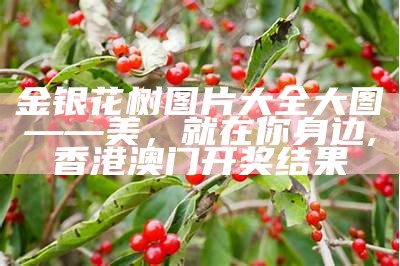 剑心如梦 第4页