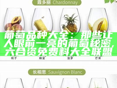 葡萄品种大全：那些让人眼前一亮的葡萄秘密, 六合资免费料大全联盟